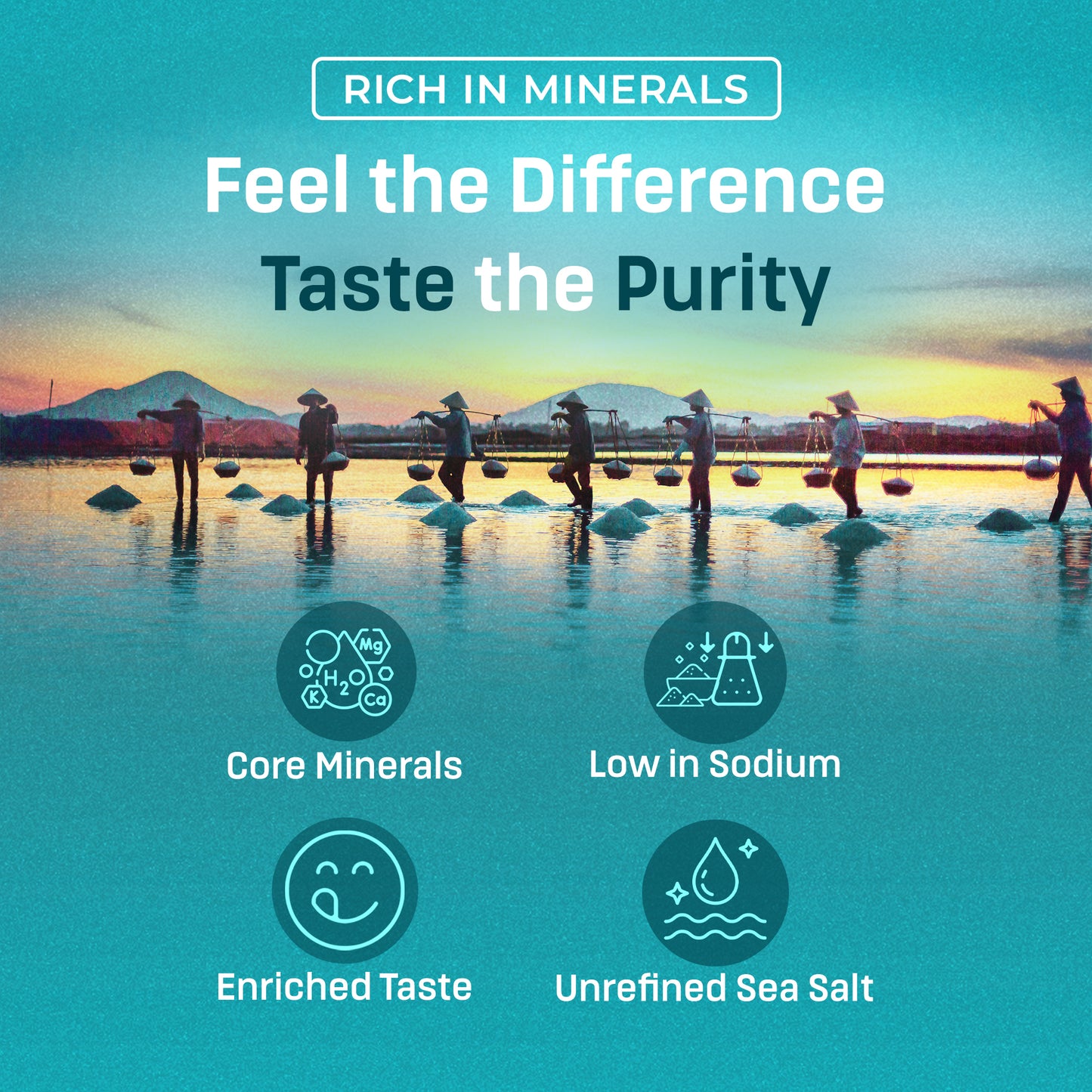Birdee Low Sodium Sea Salt - Nutrient and Mineral Dense Sea Salt - 34% Less Sodium - Gourmet Salt for Baking, Seasoning Pickling - Fine Ground Sea Salt with No Additives or Fillers